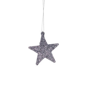 Festive Silver star