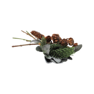 Fur cones with Foliage