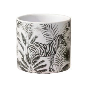 Plant Pot
