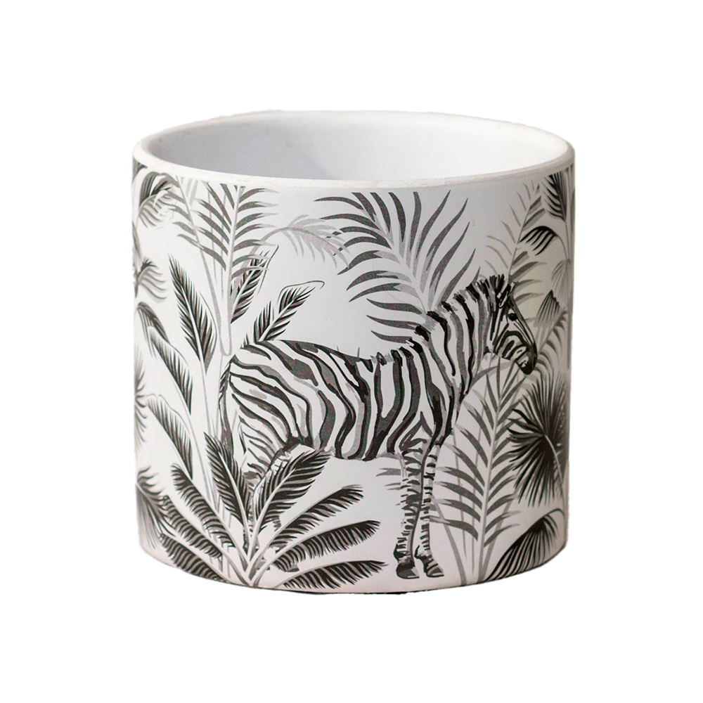 White plant with zebra print