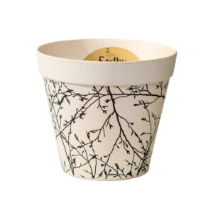 Plant Pots