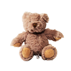 Brown teddy