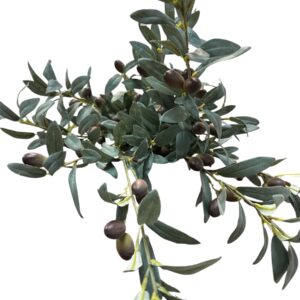 silk olive branch