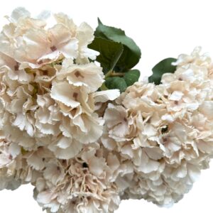 Silk Hydrangea stem