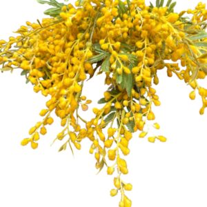 silk mimosa branch
