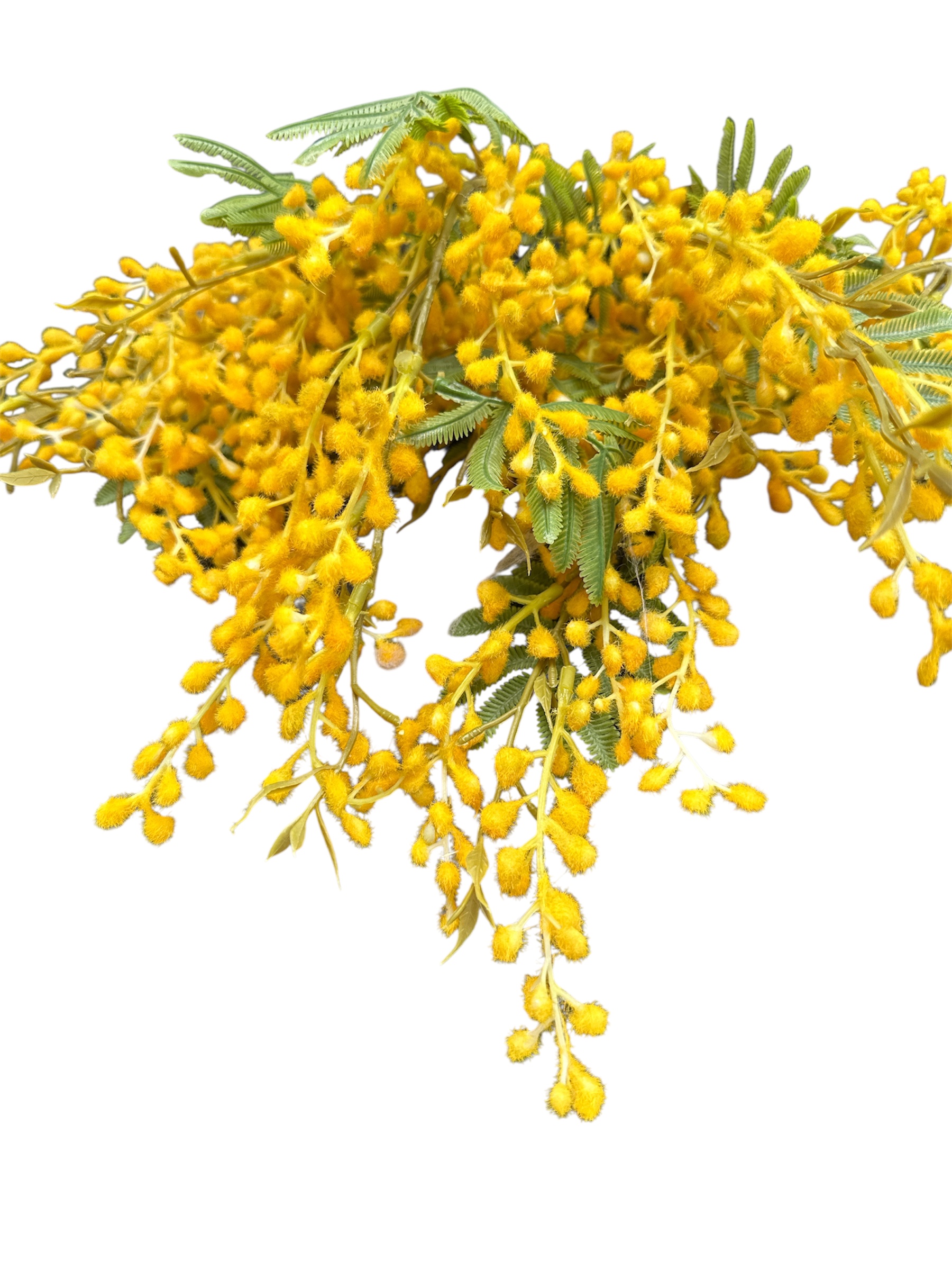 silk mimosa branch