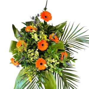 Colourful front facing arrangement