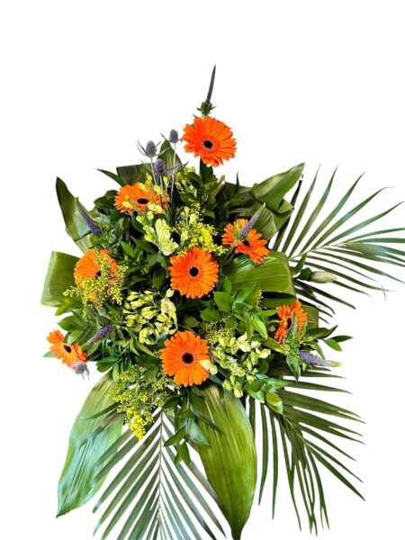 Colourful front facing arrangement 